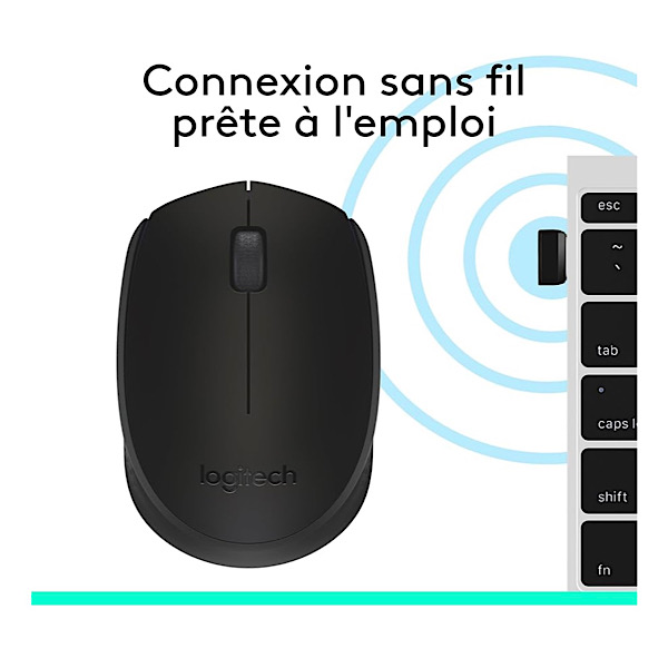 SOURIS LOGITECHM171 SANS FIL